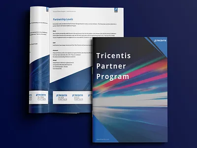 Tricentis Partner Program Design art book branding brochure business catalouge design direction graphic design illustration indesign pdf profile typography