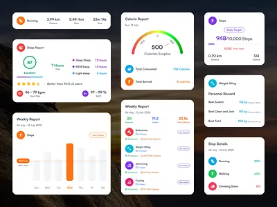 All-in-One Health & Fitness Monitoring Widget