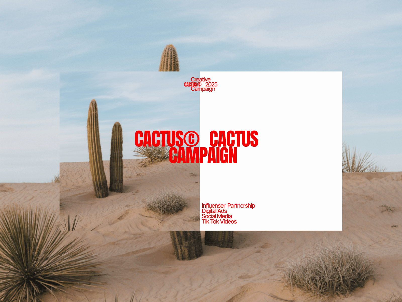 Cactus Creative Template artdirection design layout template typography visual design