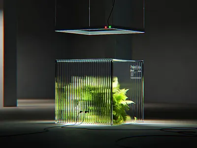 Project Eden | Phase I 3d 3d render biophilic botanical c4d concept art digital art eco futurism futuristic growth modern motion graphics nature reeded glass sci fi technology