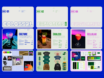 MCCE Branding Showcase - Digital & Experiential Concepts apparel design blue brand brand identity branding clean clean design clean layout design experiential design merchandise modern modern aesthetics packaging design web design