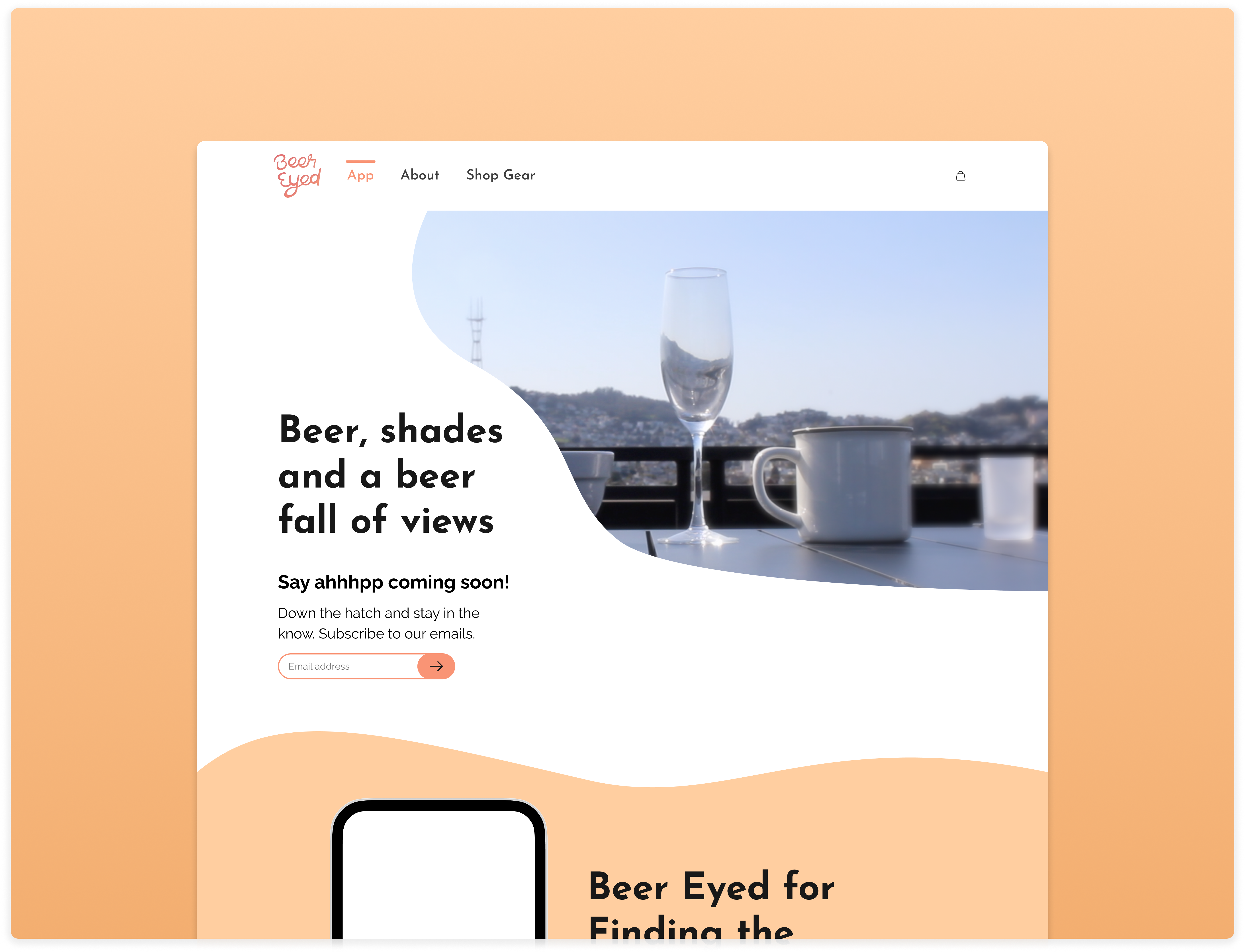 Example of Landing Page Design (Small)