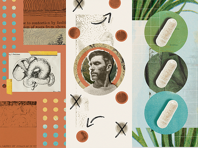 Function Health // Collage Illustration art brand branding collage grid grunge health human illustration logo medicine photo photography print science startup tape texture wellness