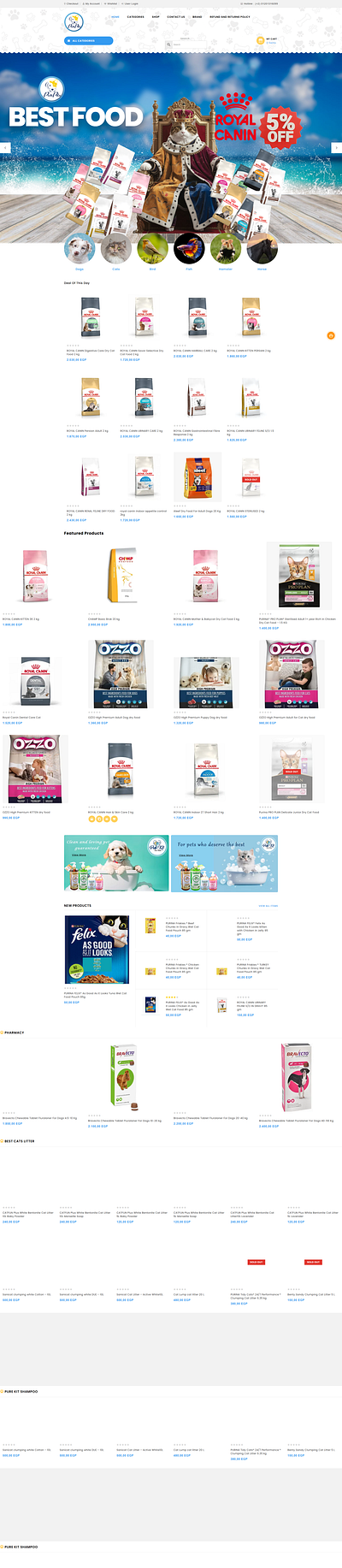 Web Design for E-commerce Website