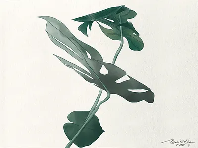 Greenery Art illustration procreate