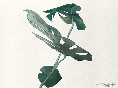 Greenery Art illustration procreate