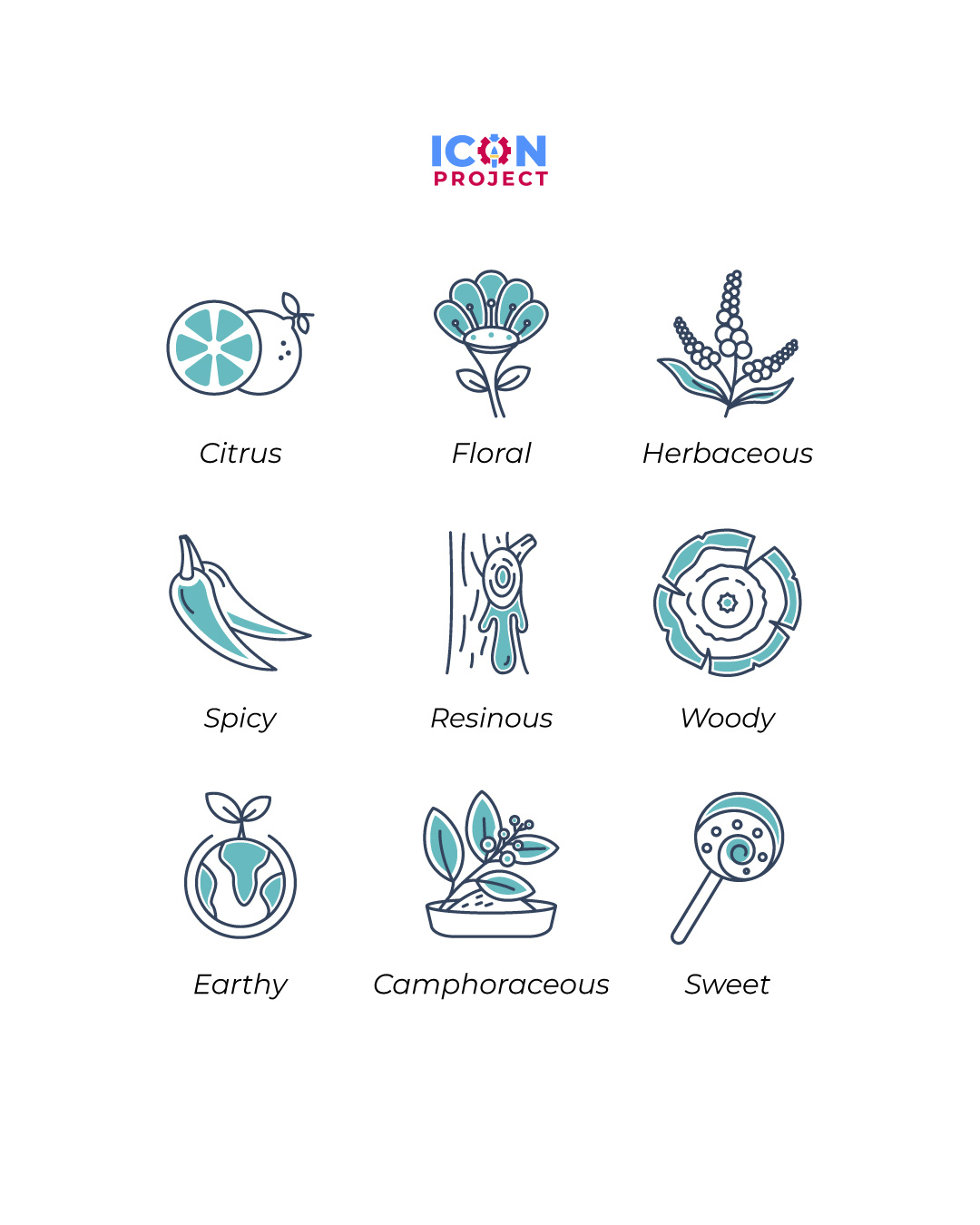 Icon For Packaging Product branding design icon icon design icon set illustration