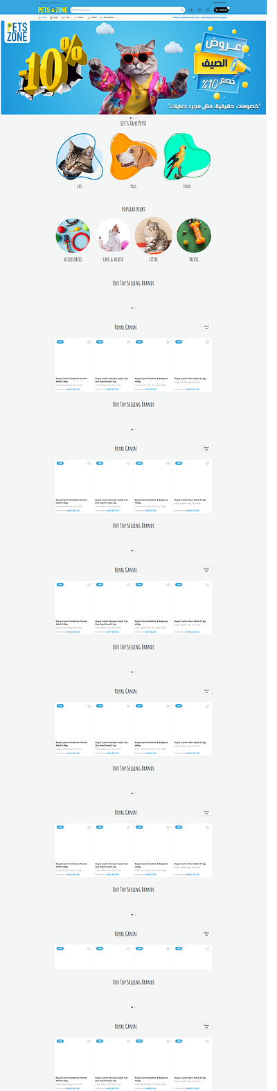 Working on E-commerce Website