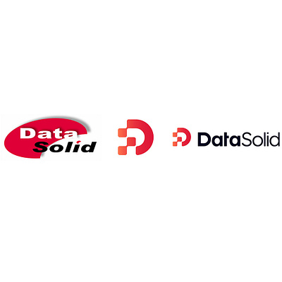 DataSolid animation branding graphic design logo motion graphics