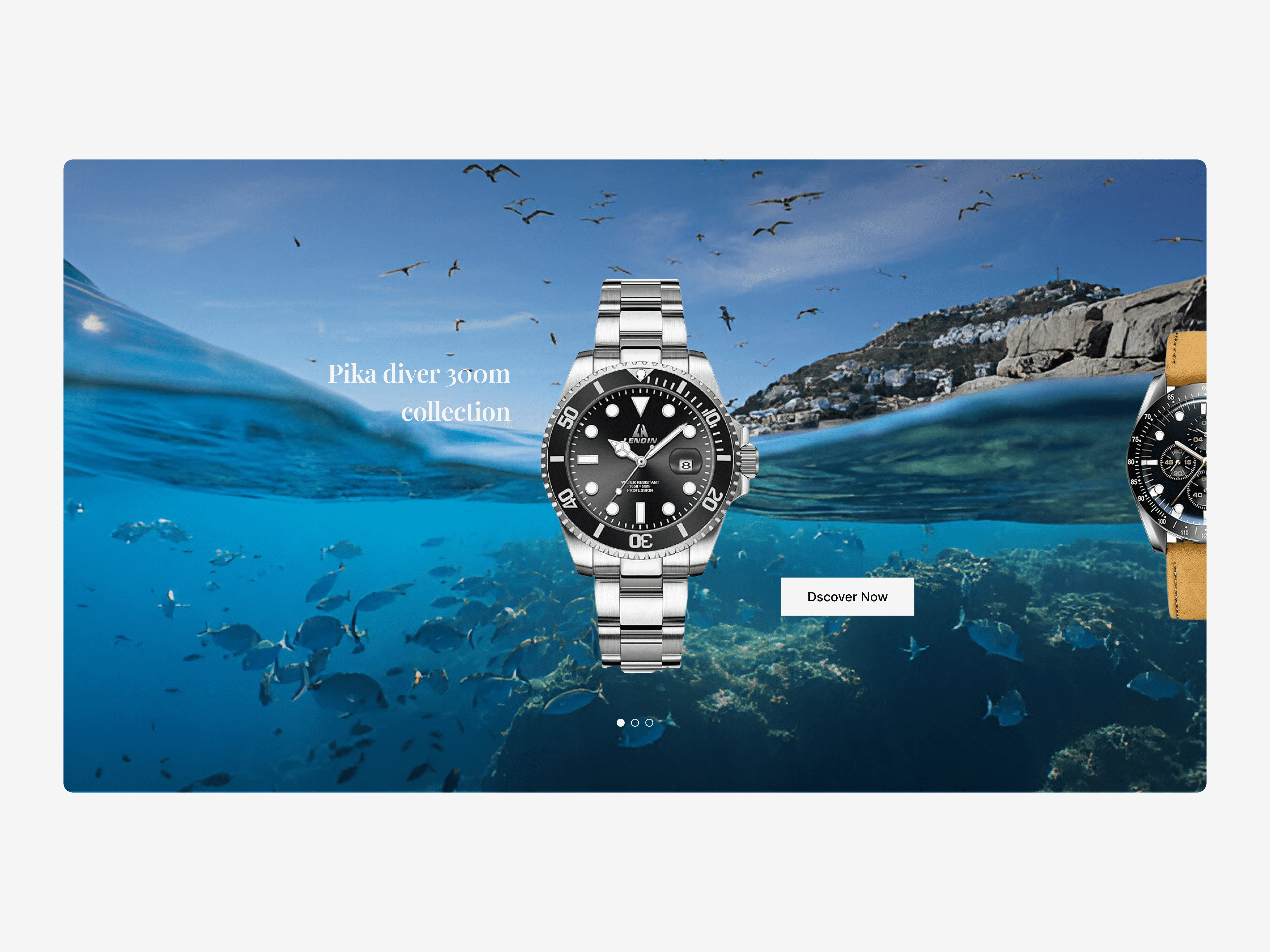 Ecommerce Collection section ui