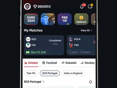 Winner Celebration / Dream 11 adobe aftereffects animation branding design dream11 flat graphic design icon illustration minimal motion graphics ui