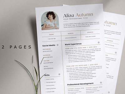 cover letter for job canva