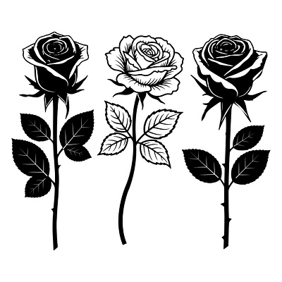 Elegant Rose Silhouette . spring