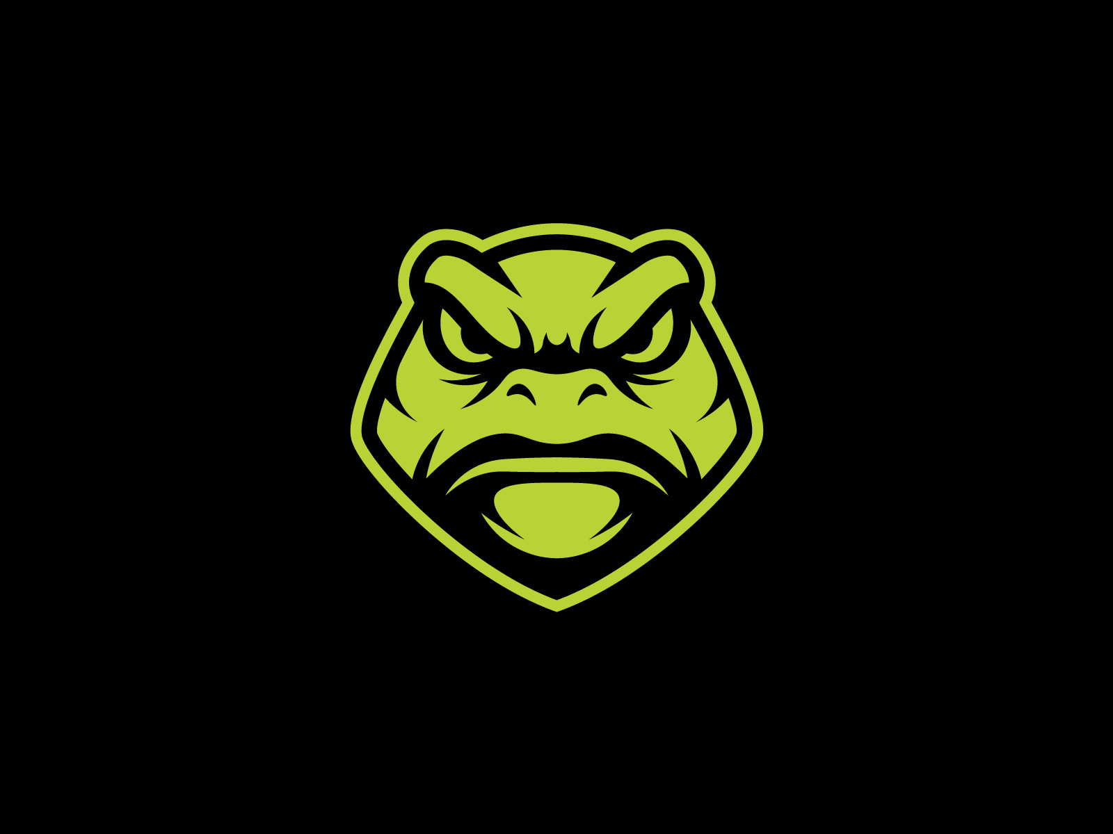 Example of Premium Logo And Branding Design Package