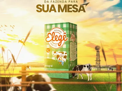 Suamesa Social Media Design design graphic design