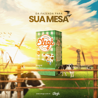 Suamesa Social Media Design design graphic design