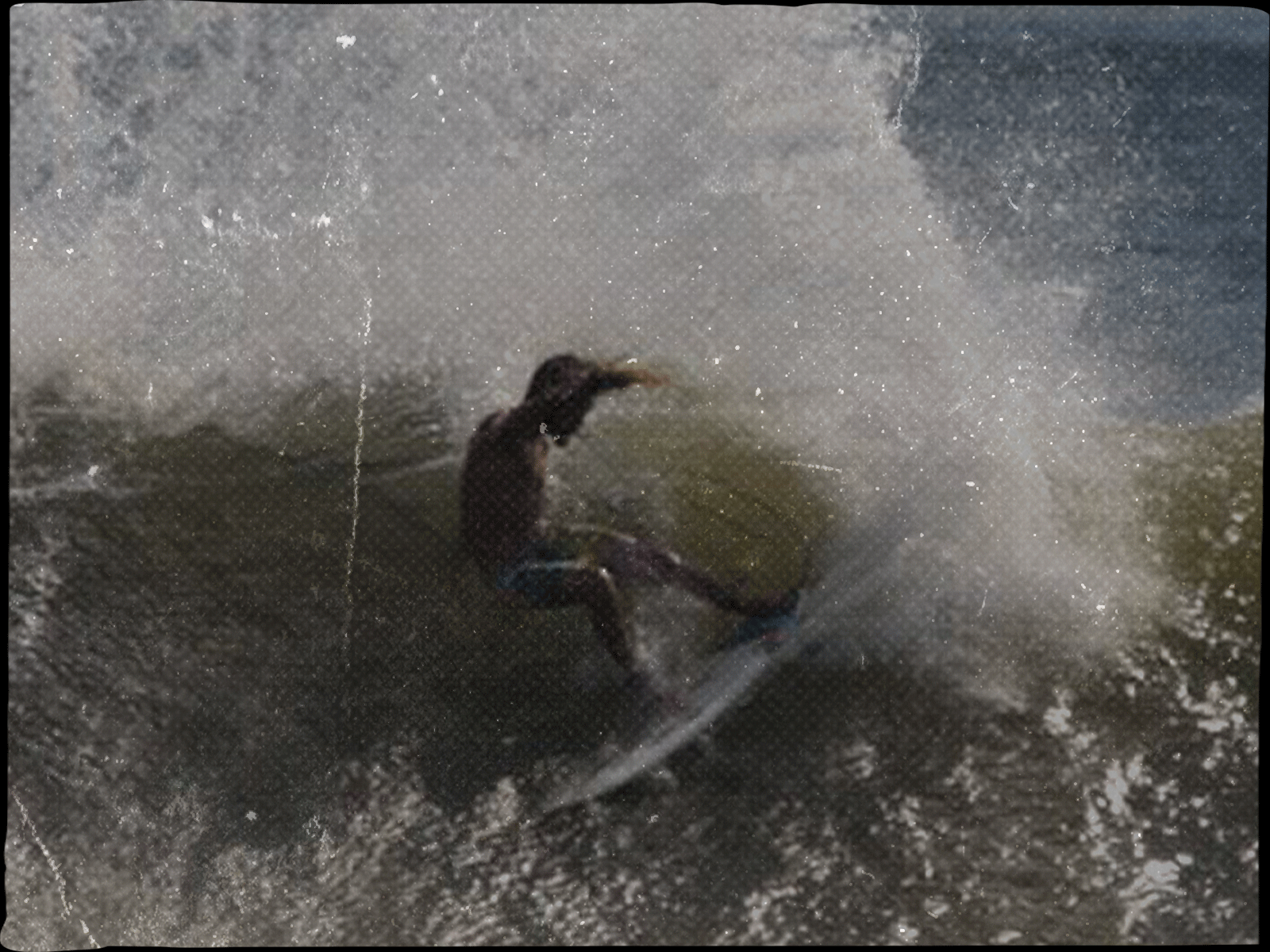 Captain Fin | Apparel Design action sports apparel brand campaign brand design branding campaign design captain captain fin distressed surf surf apparel surf brand surf design surf fins surf gear surf icon surfing surfing apparel