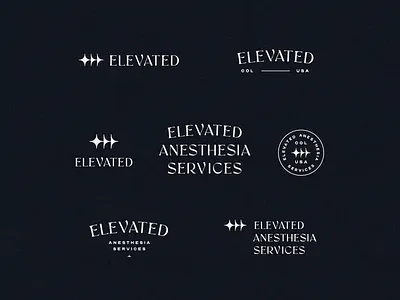 Elevated Anesthesia Services badge brand brand kit brand suite branding custom lettering custom wordmark design lettering logo logo kit typography wordmark