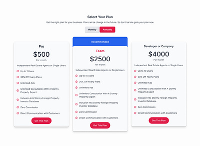 Clean and Simple Pricing Section clean and simple pricing section