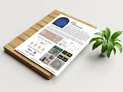 Design a flyer, postcard, door hanger, or media kit brochure design flyer flyer design media kit postcard