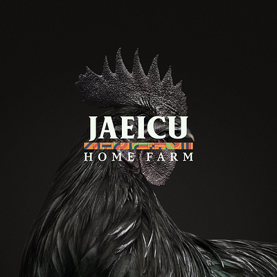 JAEICU Home Farm — Brand Identity Design. brand brand identity branding branding project chicken logo design design agency farm logo farming graphic design icon design illustration logo logo designer logomark logotype vector wordmark