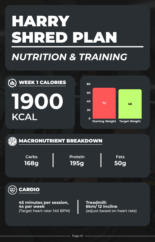 Example of Guidebooks & Nutrition Plan Templates