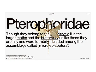 Scientific Web Design cleandesign concept minimaldesign sciencedesign typography webdesign websitedesign