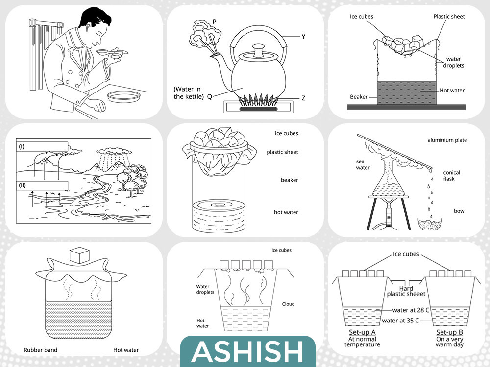 Example of Custom Illustrations, Vector, Line Art