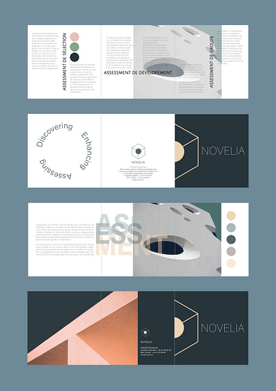 Novelia branding branding graphic design logo