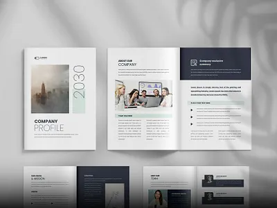 Company Profile company profile