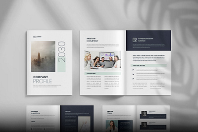 Company Profile company profile