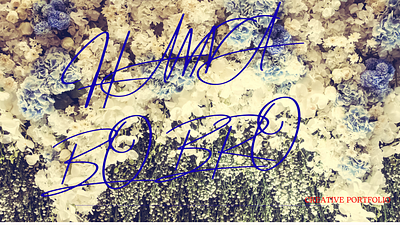 Portfolio / Hanna Bobro branding graphic design logo