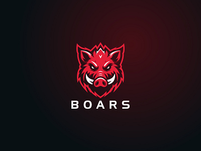 Boar Vector Logo animal animal logo boar boar logo branding esports logo esports wild boar hog hog logo hunting logo logo design logo for sell pig pig logo wild wild animal