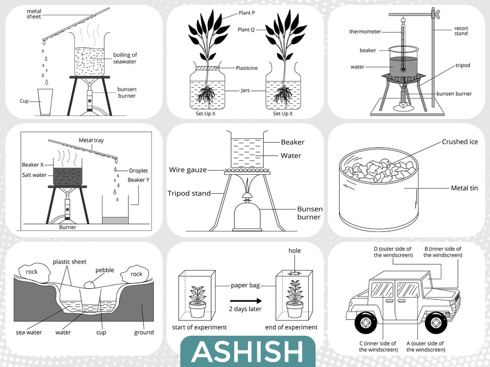 Custom Illustrations, Vector Graphics, Line Art & Icons Design app graphics brand illustration commercial illustration custom icons custom illustration editorial illustration flat illustration graphic design icon set design illustrator infographic illustration line art design marketing visuals modern brand design packaging illustration professional illustrator scalable vector art vector art vector graphics website illustration