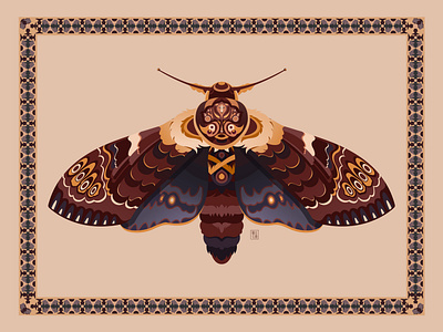 My MOTH collection moth