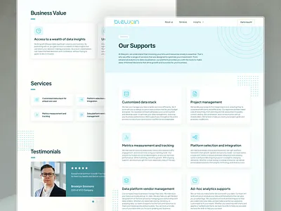 Support Page - Data & Analytics Consulting Company user interface