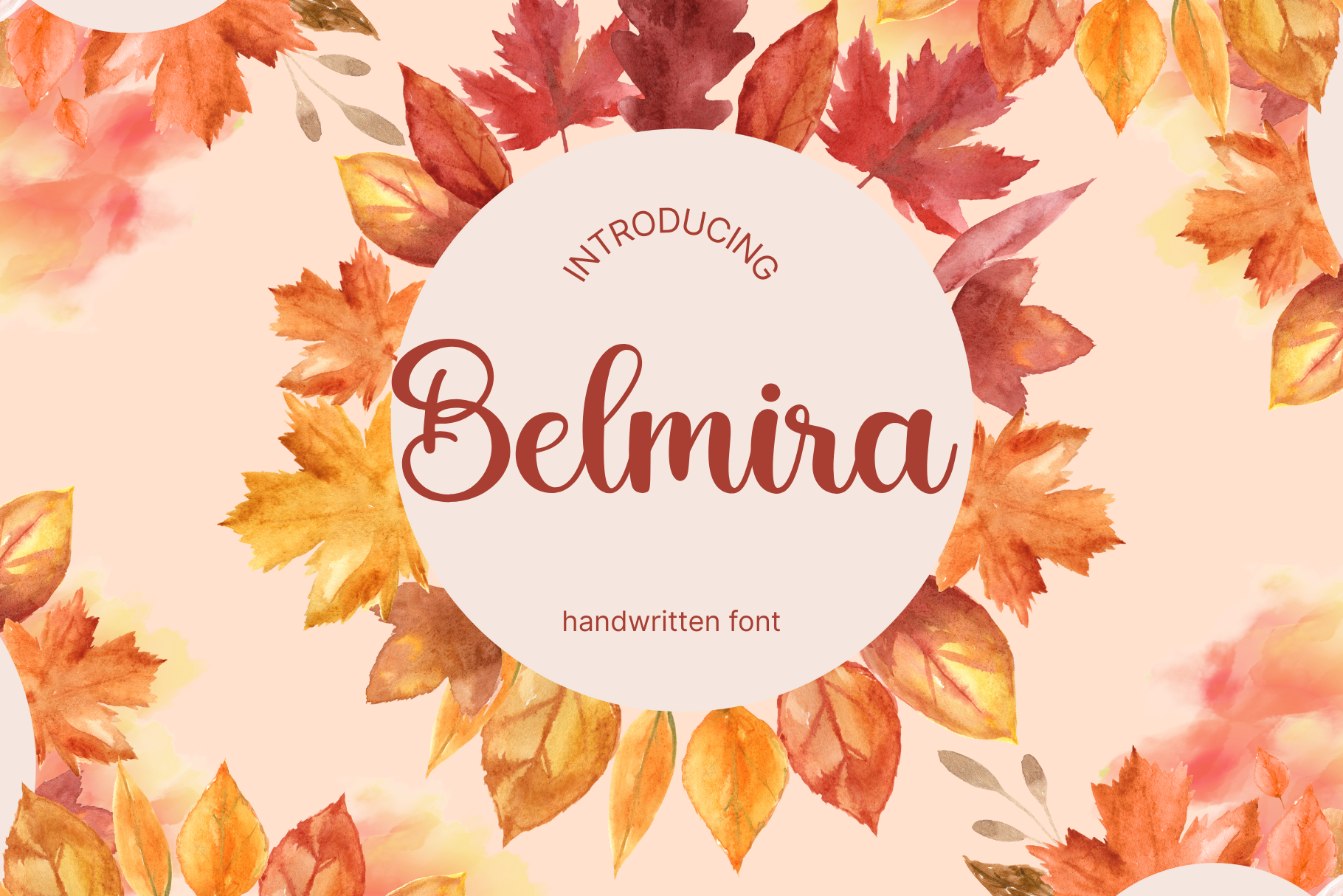 Belmira Font belmira branding design font graphic design illustration logo script sript ui ux vector