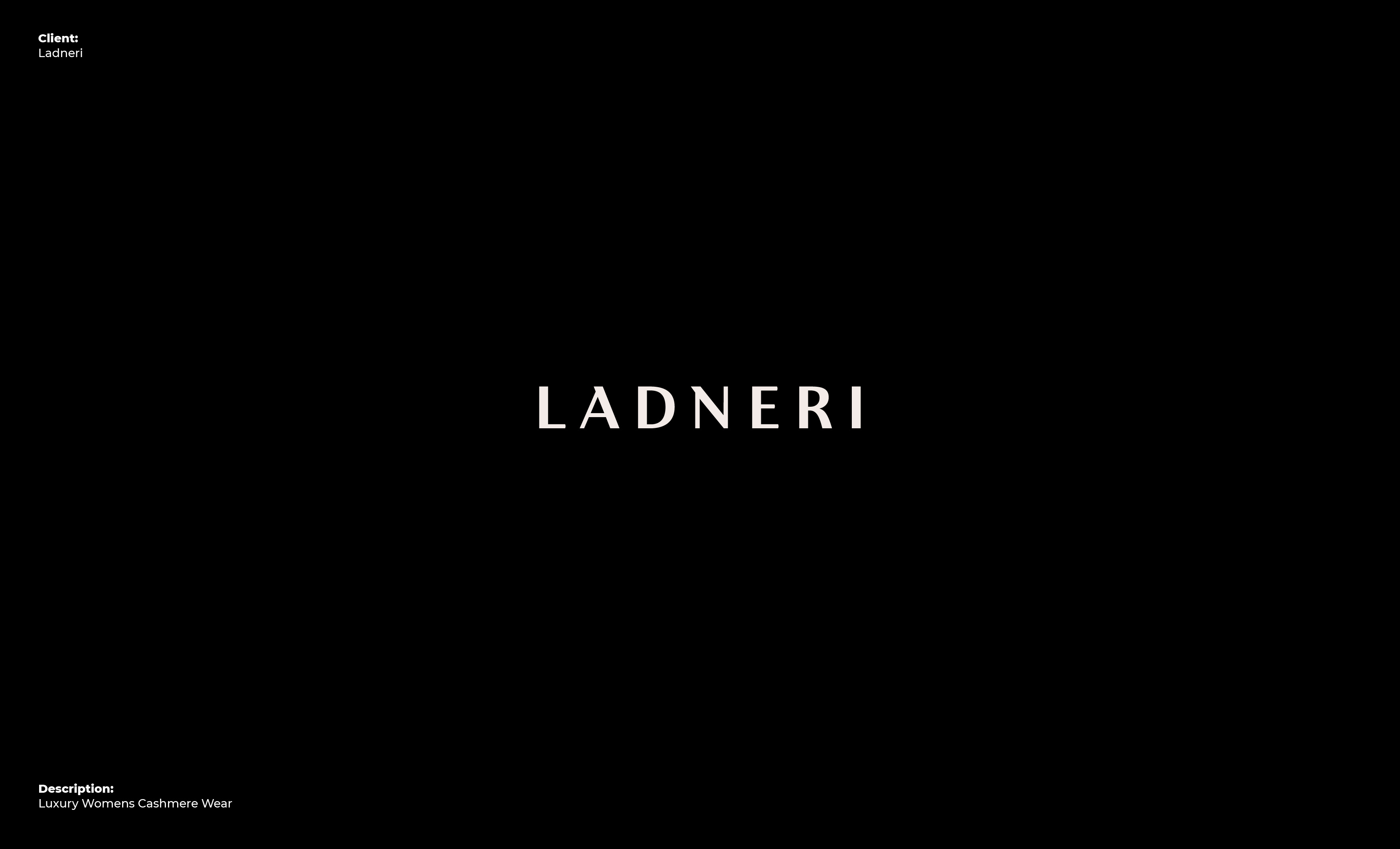 Ladneri Logo branding design graphic design identity letter lettering logo logotype
