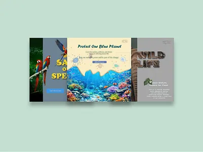 Eco Awareness Poster | Wildlife Flyer | Nature Protection Art affinity flyer graphic design nature poster ui wildlife poster