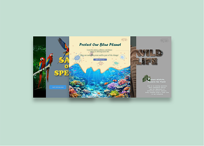 Eco Awareness Poster | Wildlife Flyer | Nature Protection Art affinity flyer graphic design nature poster ui wildlife poster