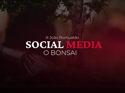 O BONSAI - SOCIAL MEDIA 2025 branding content strategy digital marketing social media design social media management social media visuals visual identity
