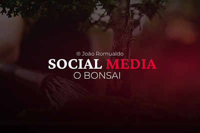 O BONSAI - SOCIAL MEDIA 2025 branding content strategy digital marketing social media design social media management social media visuals visual identity