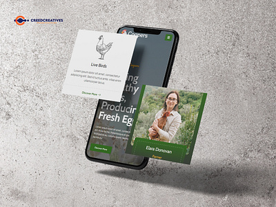 Bringing the Farm Online – One Egg at a Time agencycreatives design illustration ui uiux userinterface webdesign webdevelopment website