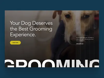 Pet Grooming Website - Hero Section Design cat design dog figma glass glass effect glassmorphism header hero landing page pet care pet grooming ui ux veterinarian veterinary web design website