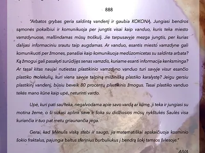 Description of art installation "KOKONAS" graphic design ui