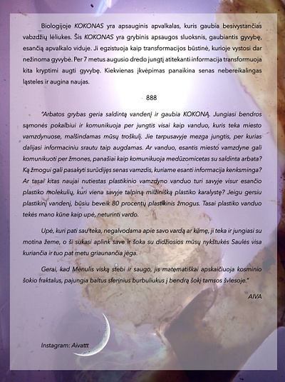 Description of art installation "KOKONAS" graphic design ui