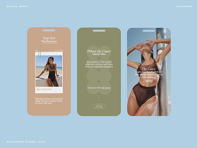 Social Media - Catarena brand brand identity branding design graphic design logo reels social media story typography vector