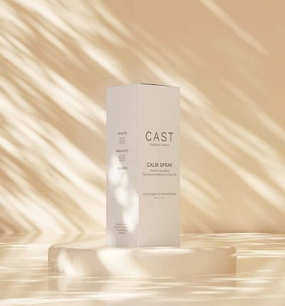 "Cast" Package Design – 3D Concept & Visualization 3d modeling 3d rendering blender packaging design