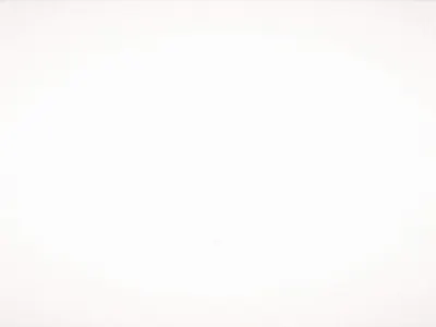 flowwerr 2d animation