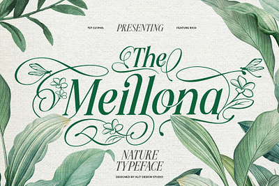 Meillona Typeface design font fonts letteing typeface